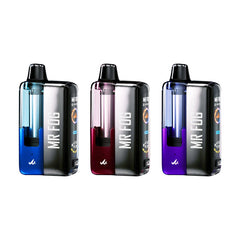 Mr Fog Switch Kit & Pod Vape 45000 Puffs