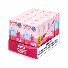 BC Pack of 10 Vape 5000 Puffs